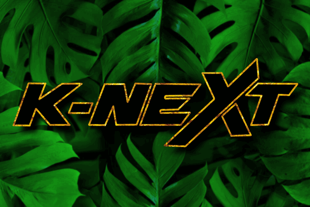 K NEXT 2025 3 2 image
