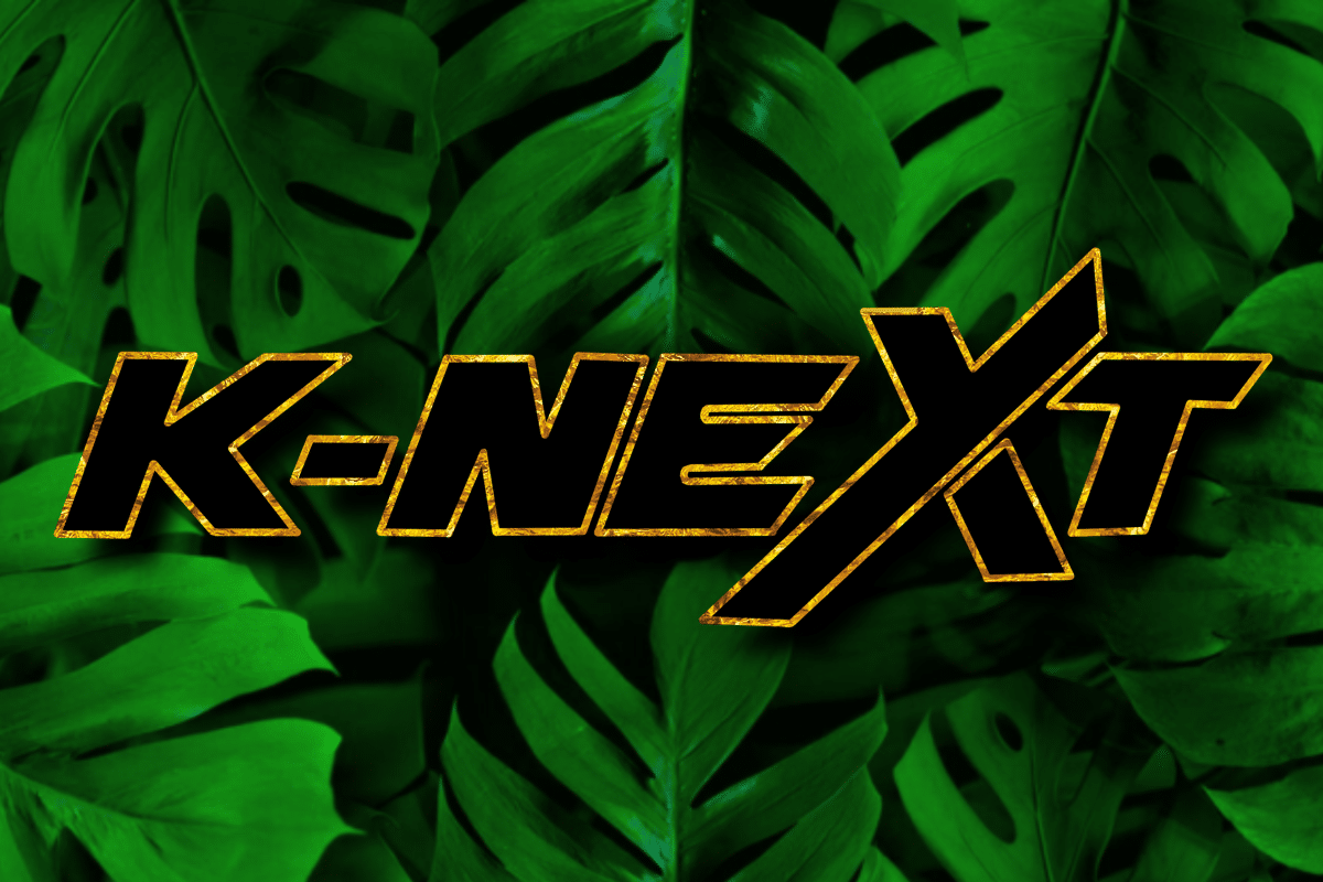 K NEXT 2025 3 2 image